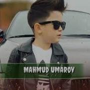 Mahmud Qarshi Bir Kun Kelib Boy Bo Lib Ketsam