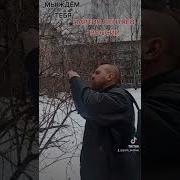 Харламов 1 Партия Лентяев