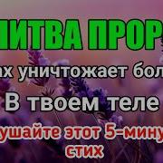 Молитва Пророка Сегодня Все Болезни Излечиваются Если Бог Даст