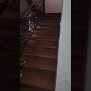 Бозори Сомон И Ш Бустон
