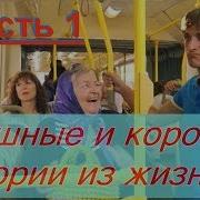 Истории Из Жизни Смешные