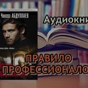 Аудиокнига Правила Профессионалов