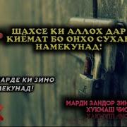 Зинои Марди Зандор