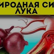 Лечебные Свойства Лука