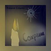Кошка Сашка Сохрани