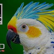 Современные Танцевальные Хиты