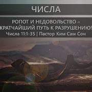 Высылаем Смятение В Стае Врага