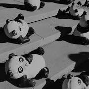 Cygo Panda E Amice Remix 2019