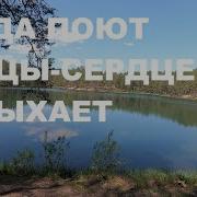 Птицы Поют
