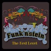 Feel The Same Funk N Stein