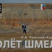 Полёт Шмеля Играет Вся Страна