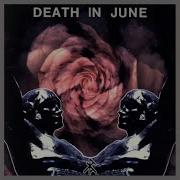 Rose Clouds Of Holocaust Death In June