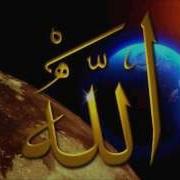 اسامه جلال عامر يوسف