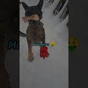 Мои Деньги Ап Ап
