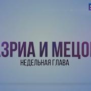 Недельная Глава Тазриа И Мецора