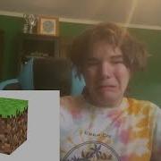 Minecraft Music But I Cried