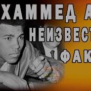 Ислам Жалило