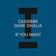 F You Want Extended Mix Cassimm Dark Dhalia