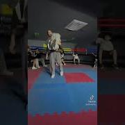 초모 터미널