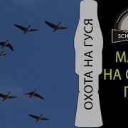 Манок Гусь