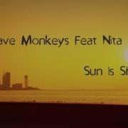 Microwave Monkeys Nita Sun Is Shining By Bob Marley
