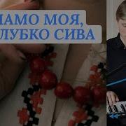Мамо Моя Голубко Сива