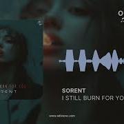 I Still Burn For You Sorent