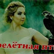 Марина Перелётная Птица