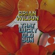 Brian Wilson Just Like Me And You