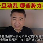 东北是哪个家族的势力范围