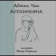Аудиокнига Маркина