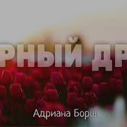 Адриана Борш Верный Друг