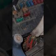 Фарги Тцраб