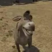 Shrek Essek Pirkol Essek Zor Oxuyur Sonda Abune Olun Ve Beyenin