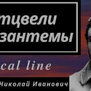 Оцвели Уж Давно Хризантемы В Саду Минус