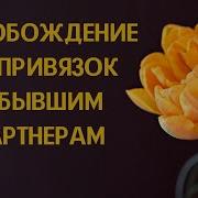 Освобождение От Привязок