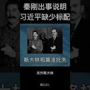 伟大领袖习近平