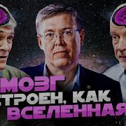 Мозг Как Вселенная