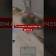 Кадры С Передовой Сво