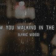 I Saw You Walking In The Rain Samira