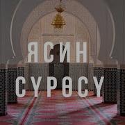 Ясин Суросу Кыргызча Котормосу