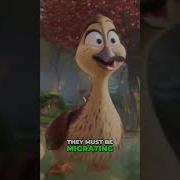 Утка Из Мультика Дисней