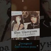 Пластинка Белые Розы