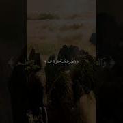 الم ترى ان الله يسبح له من في السماوات والارض