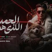 الحمد لله الزي هدانا حمو الطيخ