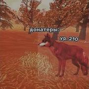 Вайлд Крафт Приколы