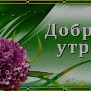 Приветливое Солнце В Окошко