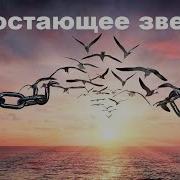 Борис Штерн Недостающее Звено