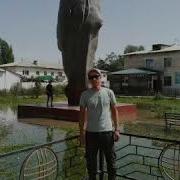 Жигитер Достор