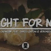 Chill Rival X Cadmium Fight For Me Lyrics Video Feat Chris Linton Veronica Bravo